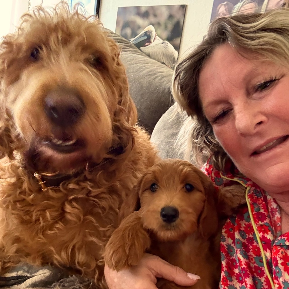Meet your Posher, Lily